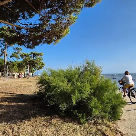 La De Manolo, Near Forest, 2-4 People Nyaraló *